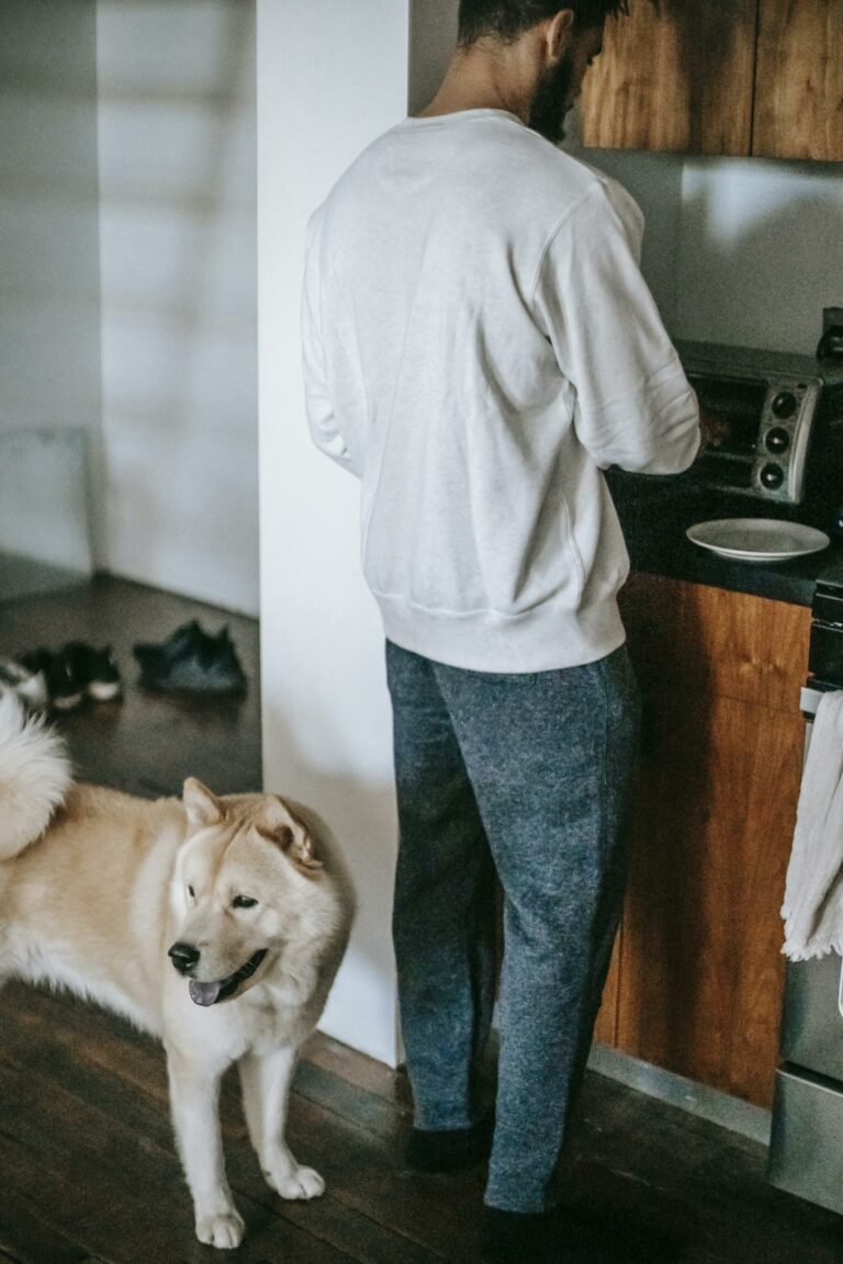 Man cooking in kitchen and standing near Akita Inu