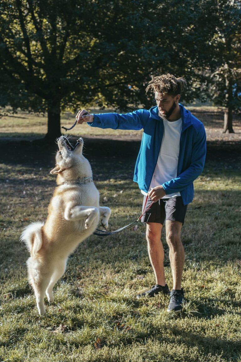 Young ethnic guy playing with purebred dog in park